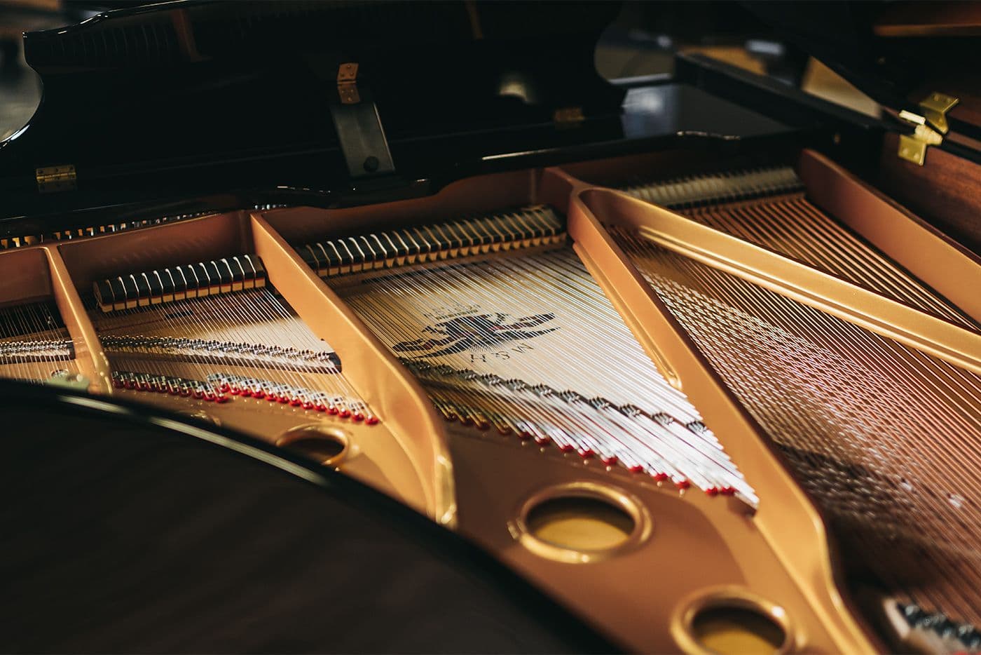 MHA 188 Artist Series Side Plate Shot • Mason & Hamlin Piano Company • Made in the USA